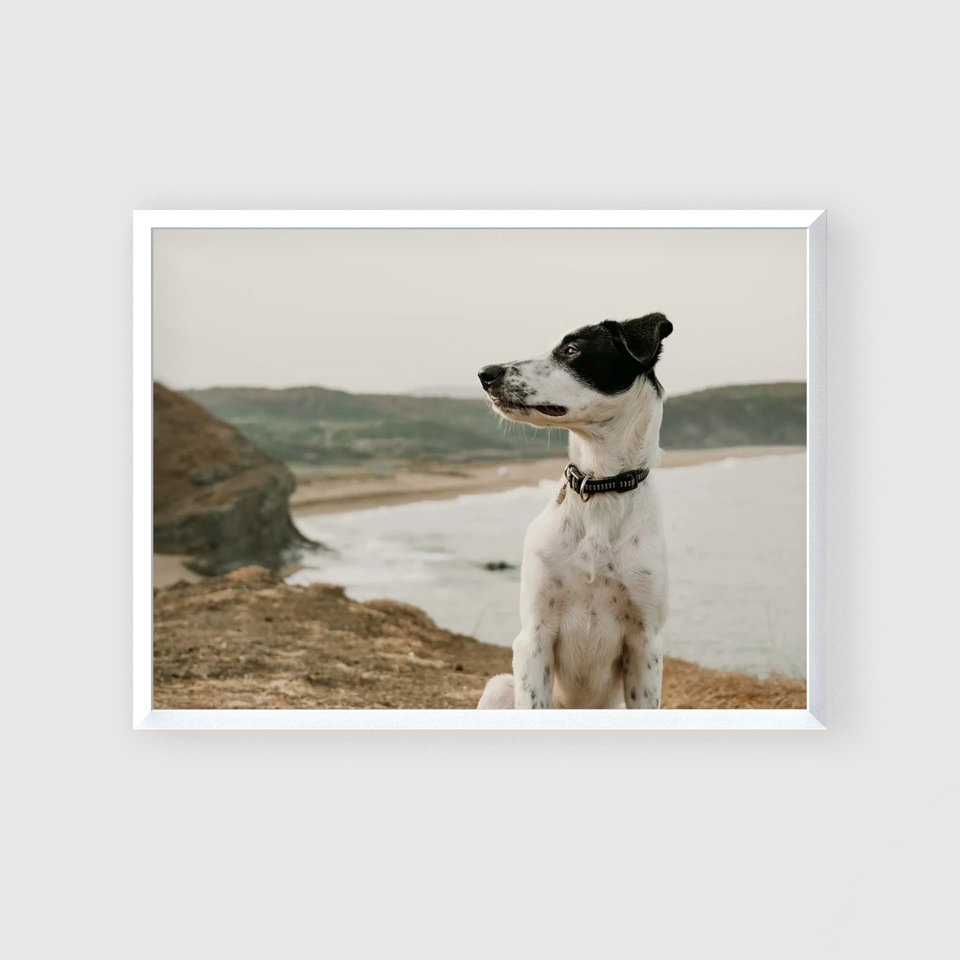 Foto zid 22 okvira - Coastal Breeze - glavni prikaz